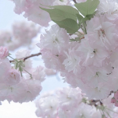 Furry插画构图技巧FurryQQ群